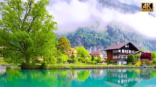 Interlaken 🇨🇭 the Most Beautiful Town in Switzlerand | #swiss #swissview