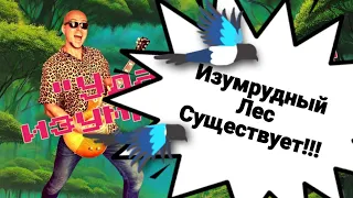 ИЗУМРУДНЫЙ ЛЕС СУЩЕСТВУЕТ!