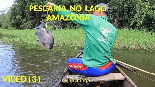 SÃO FRANCISCO DA MANGUEIRA COMMUNITY - AMAZONAS - VIDEO ( 3 )