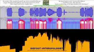 Does this Audio Recording Capture an Interaction with Ci'tonga (Sasquatch) on the Omaha Rez?