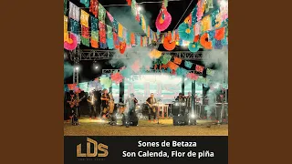 Sones de Betaza, Son Calenda, Flor de Piña