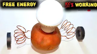 free energy light bulb with potato||Free Energy Electricity With Magnet #ksqhacks