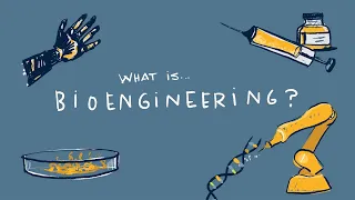 Girls in Engineering 2021: Bioengineering