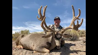 GIANT 240" MULE DEER! Hunting Big Deer In Nevada!