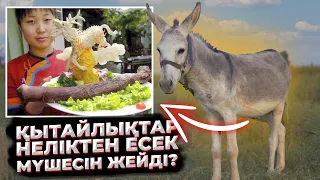 ЖЫЛАН ЕТІН ЖЕГЕННЕН НЕ ПАЙДА? | ҚЫТАЙЛЫҚТАР НЕГЕ ЕСЕК ЕТІН ЖЕЙДІ?