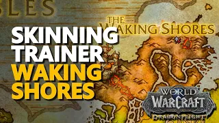 Dragonflight Skinning Trainer WoW Dragon Isles The Waking Shores