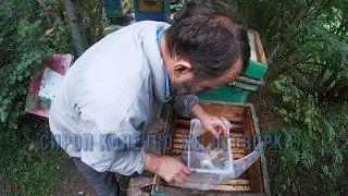 Как  быстро закормить пчёл на зимовку.