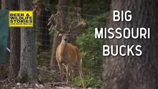 Big Missouri Bucks at Xtreme Whitetails | Deer & Wildlife Stories