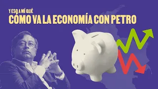 Cómo va la economía con Petro. Feat. Economía para La Pipol