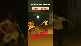 POV:- HUMAN VS ANIMALS (GHOST PRANK VIRAL VIDEO)