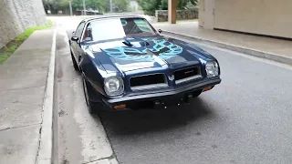 1974 Pontiac Firebird Trans Am SD 455 4-speed for sale