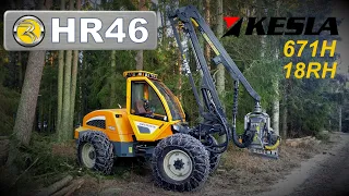 Sampo Rosenlew HR46 "Koivuja & kuusia"🌳🌲