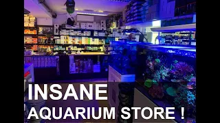 The Nicest Salt Water Aquarium Store - Advanced Aquarium Consultancy