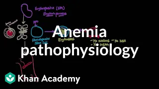 Anemia pathophysiology | Hematologic System Diseases | NCLEX-RN | Khan Academy