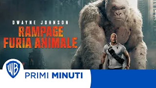 Primi Minuti | Rampage: Furia Animale