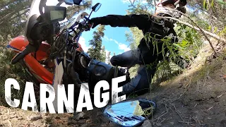 Absolute CARNAGE in the Canadian Woods 🇨🇦 |S6 - E136|