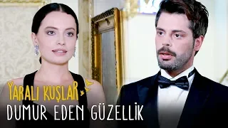 Dumur Eden Güzellik | Yaralı Kuşlar 63. Bölüm (English and Spanish)