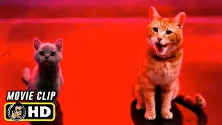 THE MARVELS Clip - "Eaten By Kittens" (2023)