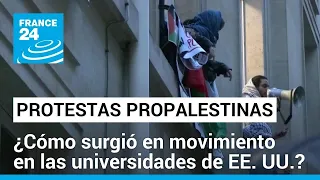 El origen de las protestas propalestinas en los campus universitarios de EE. UU. • FRANCE 24