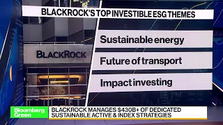BlackRock's Woodland on Top Investible ESG Themes