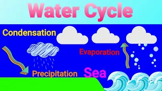 The Water Cycle Explained For Kids- Animation