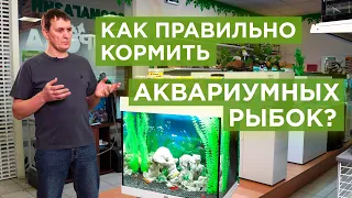 Как правильно кормить аквариумных рыбок | Советы аквариумиста
