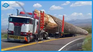 How To Harvest, Transport Large Logs. Manufacturing and Construction Process Of Milled Wood Home