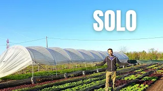 SOLO | Una semana cultivando y vendiendo en solitario