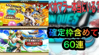 [ドラクエウォーク]ベホマラーっている？確定枠含めてガチャ60連！！