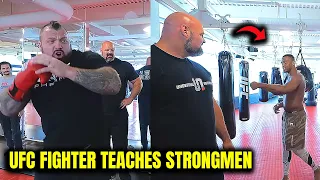 Eddie Hall & Brian Shaw Break Alex Pereira Punch Record Ft Jamahal Hill