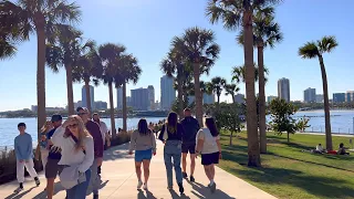 The Sunshine City : St. Petersburg, Florida Downtown Walk in March 2023