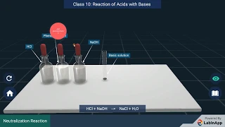 How do Acids and Bases React with each other?