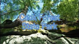 Cook Forest State Park - Full Day Adventure | Scenic Views of PA Wilderness