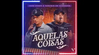 João Gomes e Tarcisio do Acordeon - AQUELAS COISAS