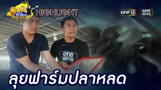 ลุยฟาร์มปลาหายาก มีเงินก็ซื้อไม่ได้ | Highlight | อนุวัตทั่วไทย | EP 75 | one31