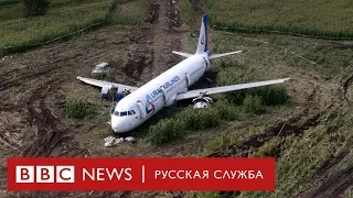 Эксперты и очевидцы об аварийной посадке Airbus A321