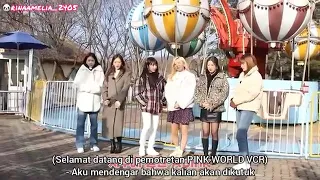 [Indosub] Apink Diary 2020 Eps.1 (Concert VCR Pink World)