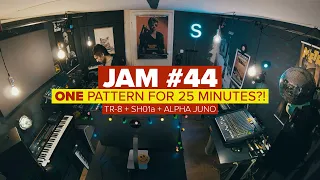 Jam #44 One Pattern for 25 Minutes?! feat. Roland TR-8S, SH-01a, Alpha Juno