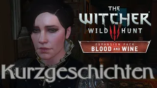 Angriff auf Dun Tynne | The Witcher 3: Kurzgeschichten