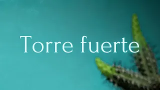 Torre fuerte (Alabanza pista 52)