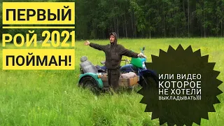 Первый рой 2021 пойман / перевозим рой пчёл / роеловство 2021