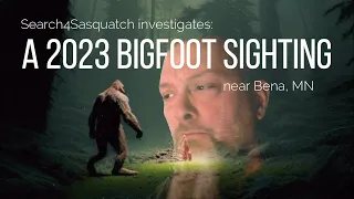 2023 Bigfoot Sighting near Bena, MN #bigfoot #sasquatch #cryptids