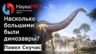 Насколько большими были динозавры? | Лекции по палеонтологии – палеонтолог Павел Скучас | Научпоп