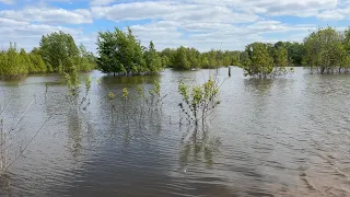 Урал уровень воды на 05.05.2024 составляет 794 см.Уральск районы города.