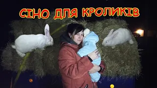 Закінчилось сіно для кроликів, мусимо купувати.Ціна на сіно