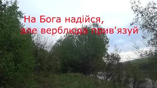 Я повірив синоптикам, що дощу, не буде.