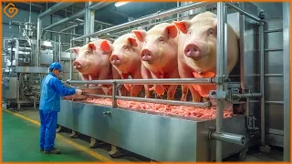 101 Satisfying Videos Modern Food Technology Processing Machines That Are At Another Level ▶49