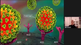 Đặc điểm sinh học phân tử Sars - CoV -2 ứng dụng trong chẩn đoán và điều trị Covid 19