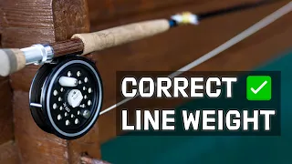 Choose the BEST Line Weight for ANY Fly Rod | Line Weight Explained (Part 4/5)