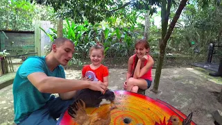Малайзия: Гора Бубус. День 1. Поездка, зоопарк. 26.05.2018